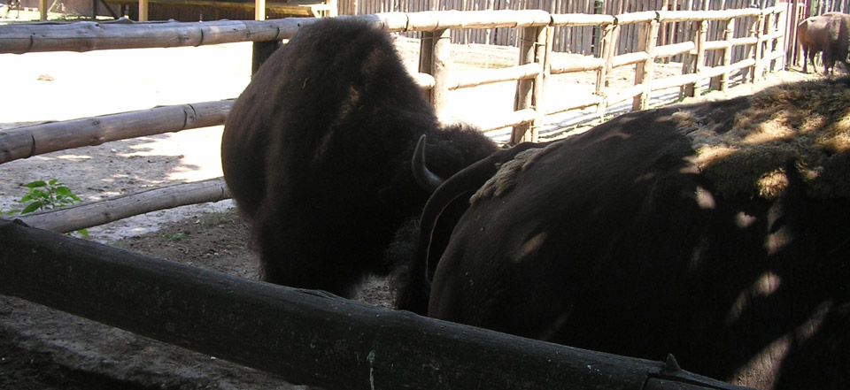 一站式解决方案的DDOS网页端